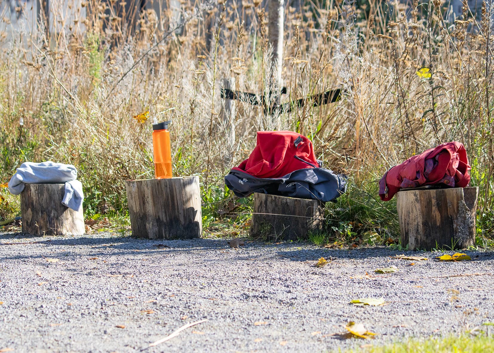 Spullen van bewoners op boomstammen in de natuur